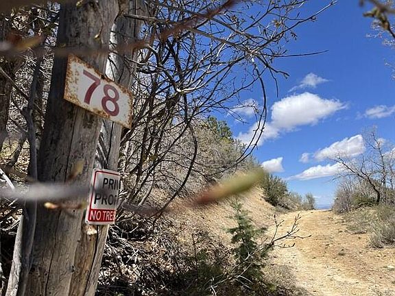 3rd image of 78 Nob Hill Rd