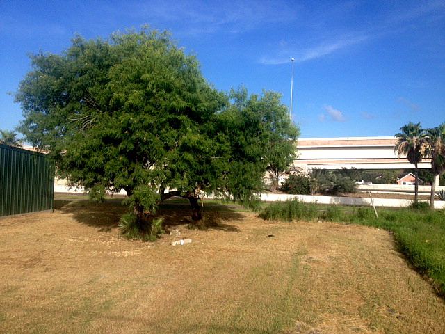 2nd image of 440 Paredes Line Rd