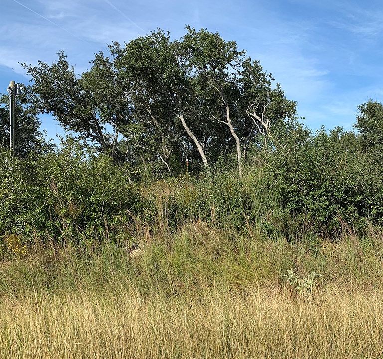 2nd image of 2101 Lone Star Rd
