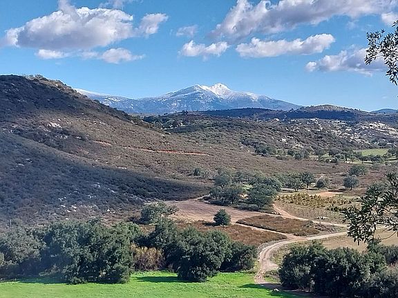 Snow on nearby peaks