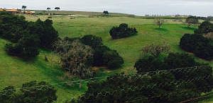 5th image of 2047 Golpa Dr