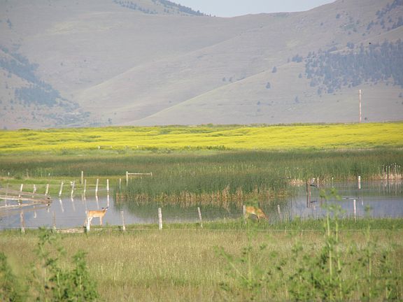 Horte Reservoir