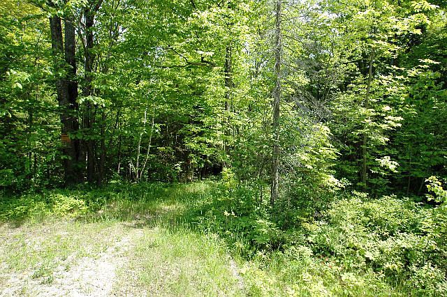 1st image of LOT 1 Bay Shore Woods Ln #Egg