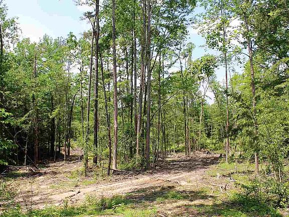 4th image of 15595 Highway 412 E