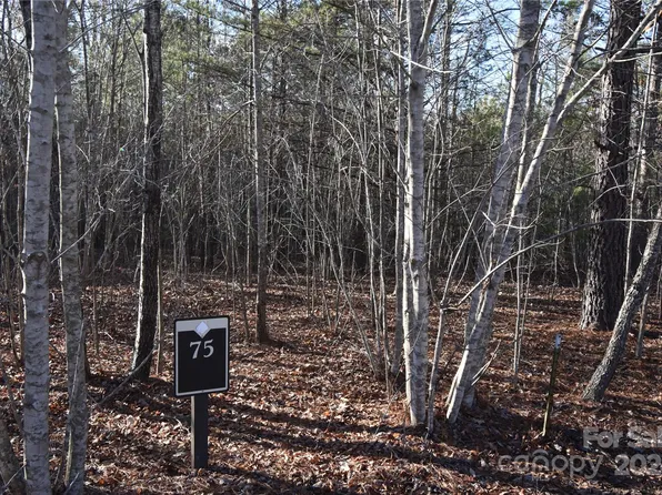 75 Tayberry Dr, Nebo, NC 28761