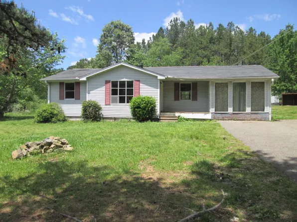 8585 State Route 100 E, Jacks Creek, TN 38347