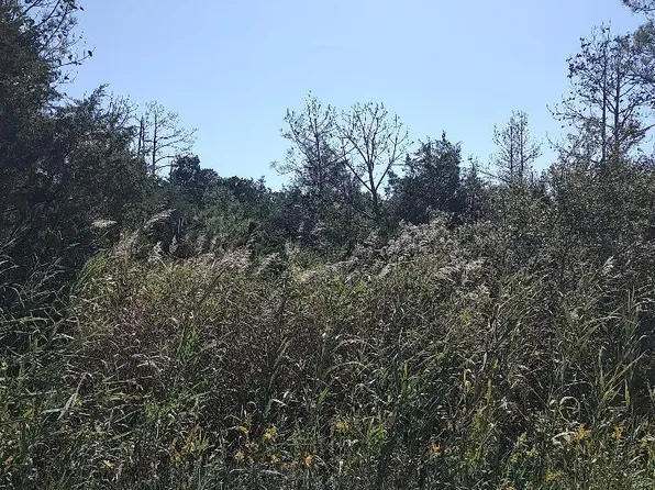 Tract A Meekins Road, Bayboro, NC 28515