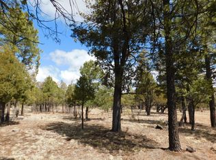 3848 Durango Dr, Happy Jack, AZ 86024