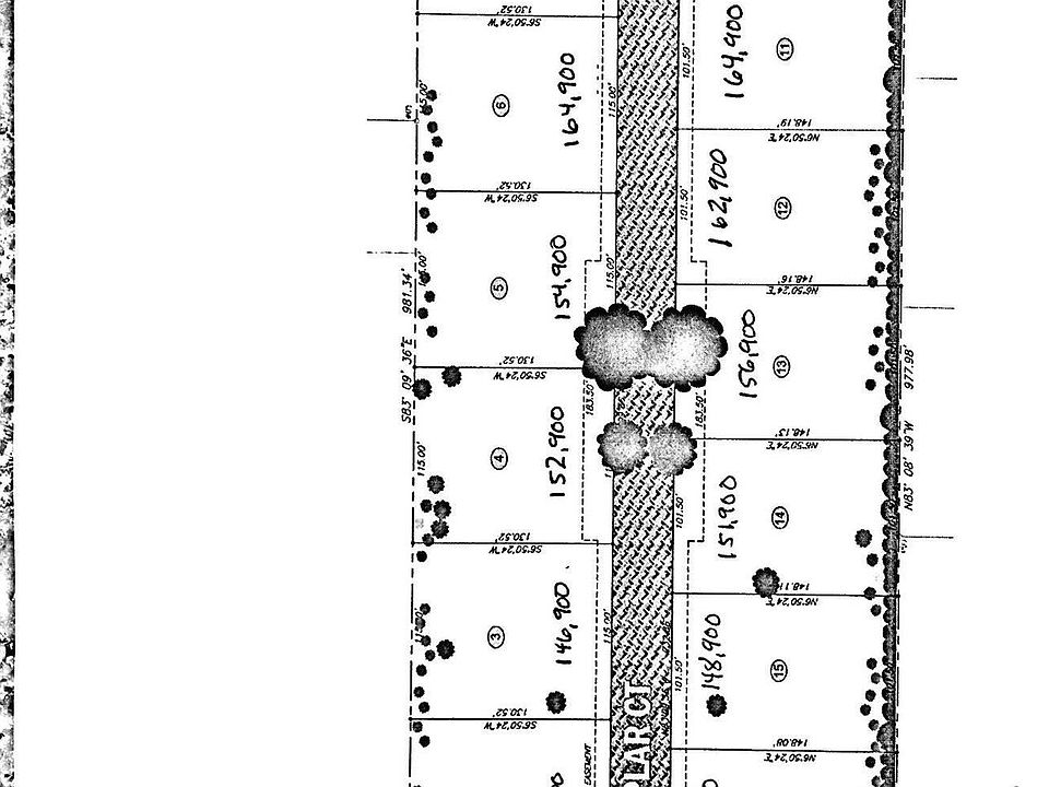 2nd image of 2123 White Poplar Ct