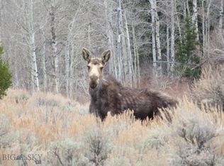 Camp Creek Rd, Butte, MT 59701