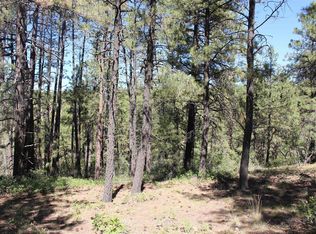 1286 Crooked Road, Pagosa Springs, CO 81147