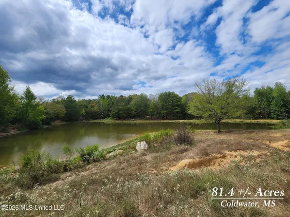 81.4 Rowell Rd, Coldwater, MS 38618