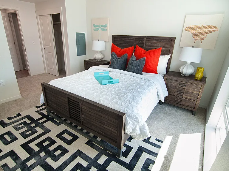Cadence Apartments — Photo 15