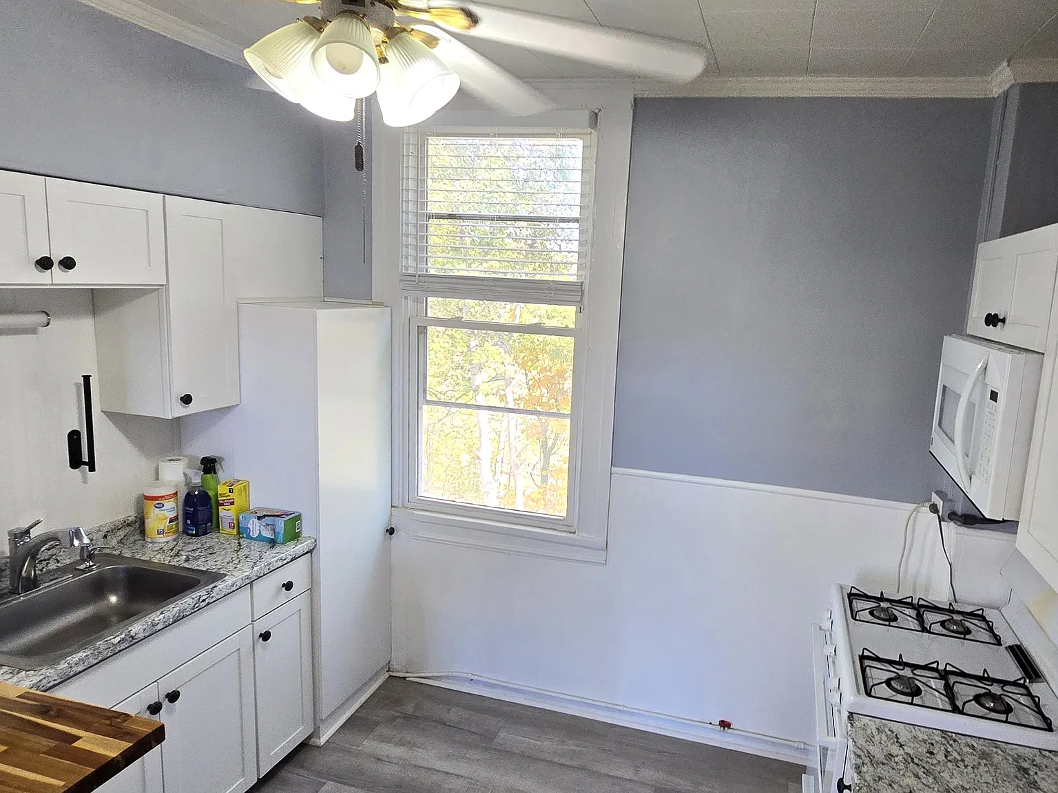 1 bed, 900 sqft, $1,100 — Photo 2