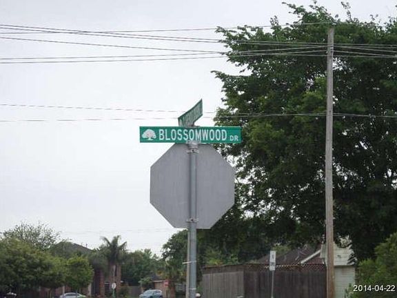 5th image of 306 Blossomwood Dr