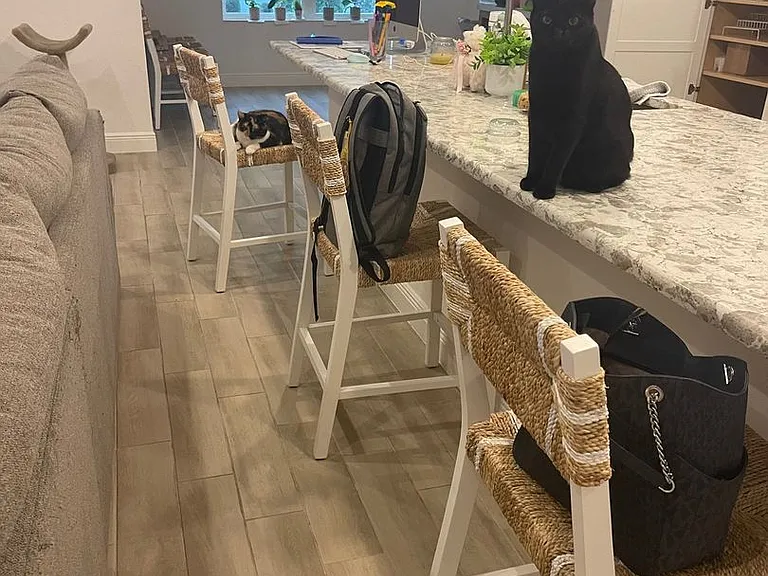 10339 Addison Shore Way — Photo 10