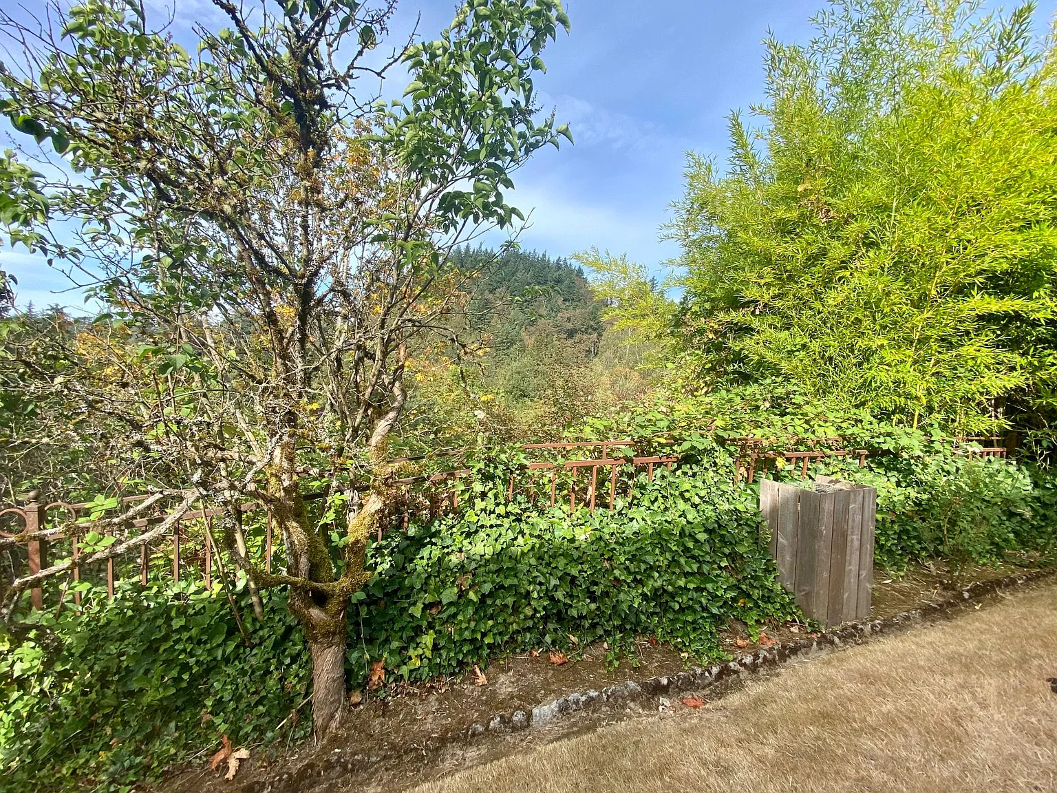 1427 SW 66th Ave — Photo 3