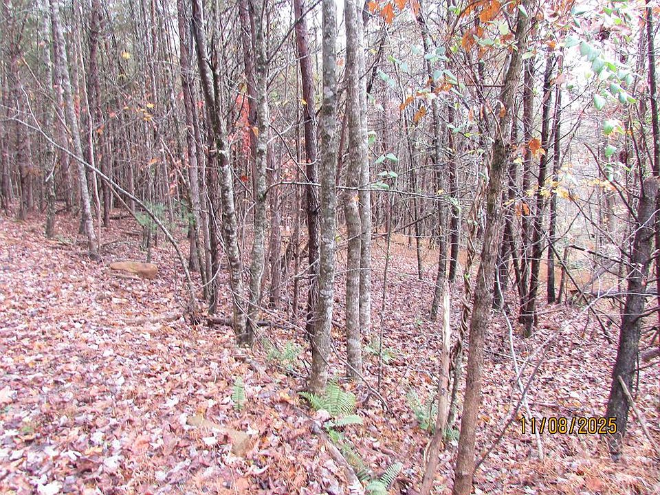 1st image of 6 Wikle Rd