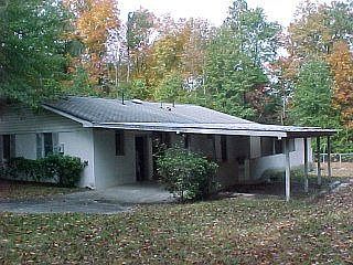 back view