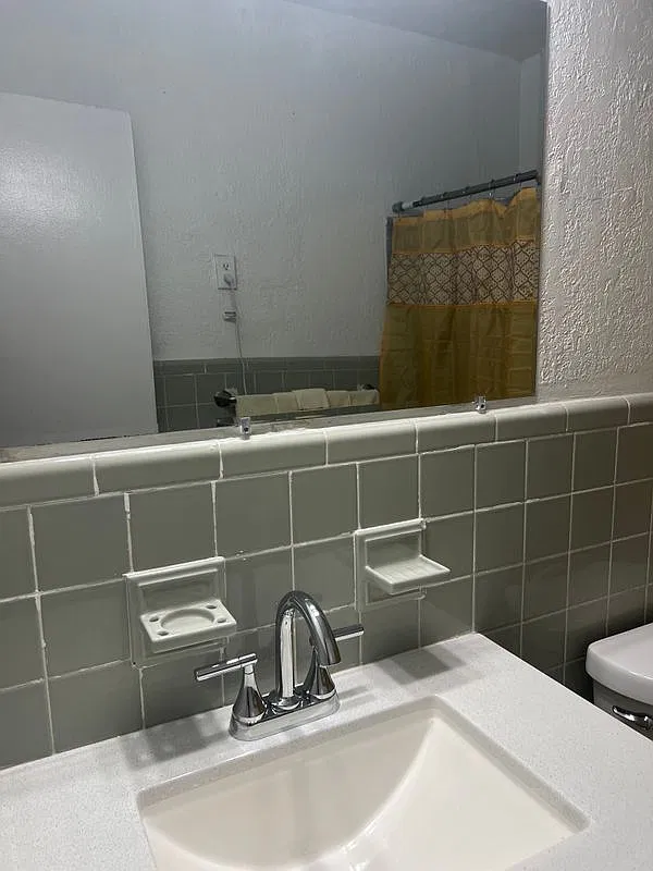 1 bed, 1.0 bath, 500 sqft, $1,250 — Photo 4