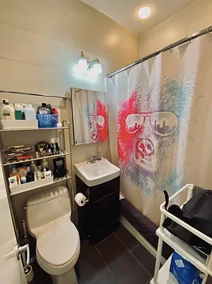 Rented by Living New York | media 7