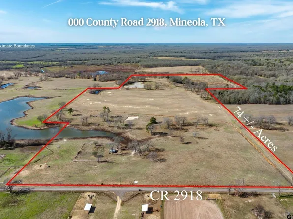 0 County Road 2918, Mineola, TX 75773