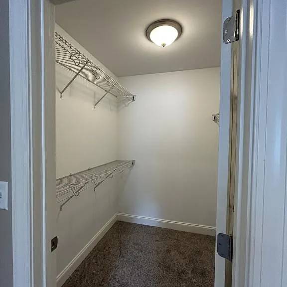 2812 Berry Patch Ct — Photo 9