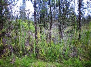 Palaninui, Mountain View, HI 96771