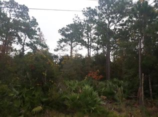 447 N Clay St, Saint Augustine, FL 32084