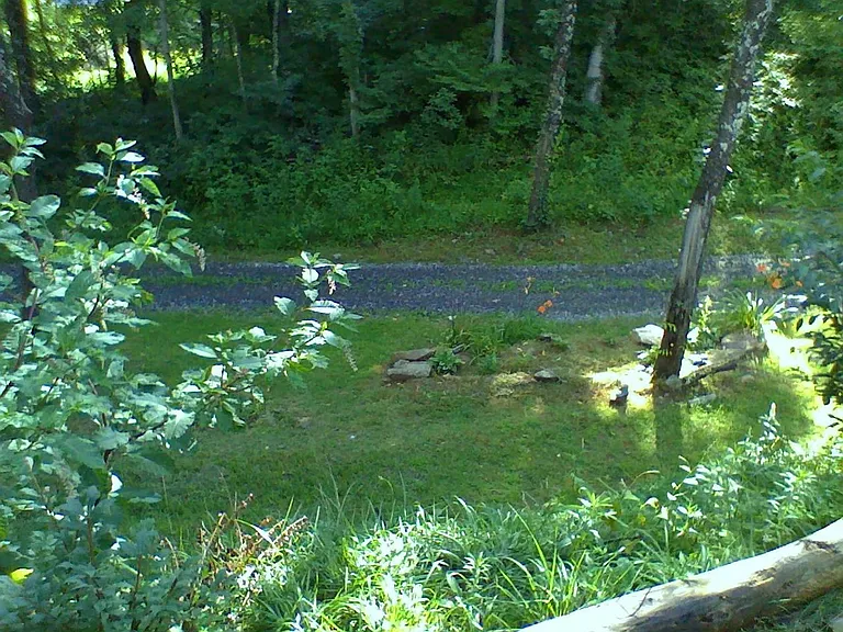 346 Elk Shoals Creek Rd — Photo 2