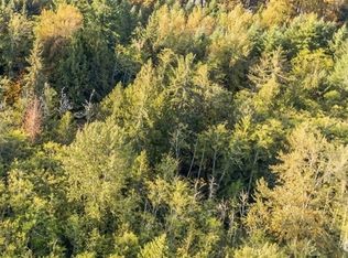 0 Kolisch Rd E, Carbonado, WA 98323