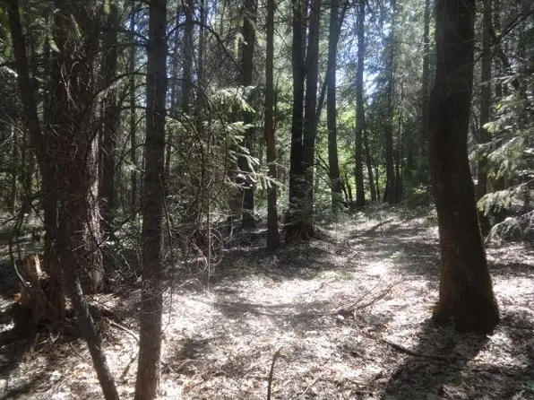 13802 Red Dog Rd, Nevada City, CA 95959