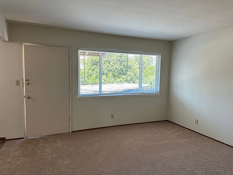 1147 Leigh Ave — Photo 4