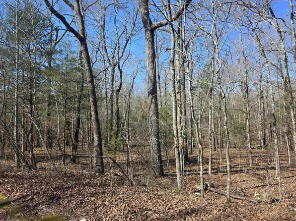 L43-B9 Pahokee Dr, Cherokee Village, AR 72529