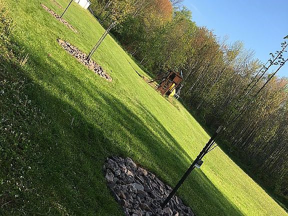 Outdoor yard/play area