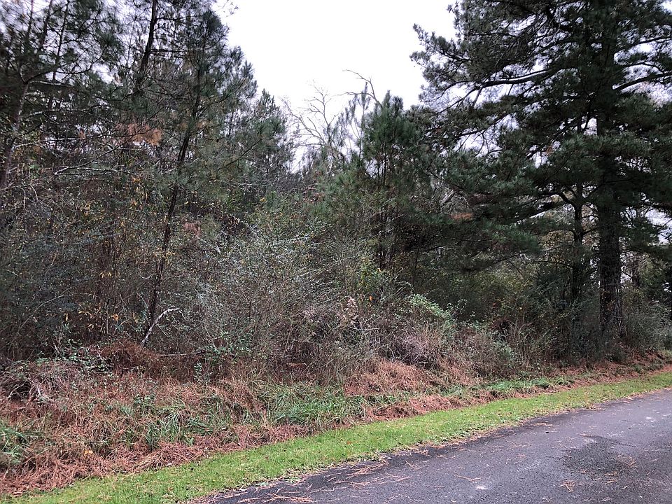 2nd image of 70 Davis Loop Lot 0