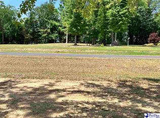 19 Ora Ln, Chesterfield, SC 29709