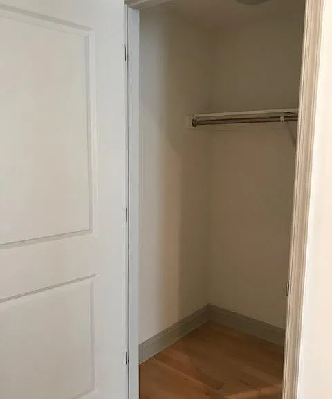 Entry Closet