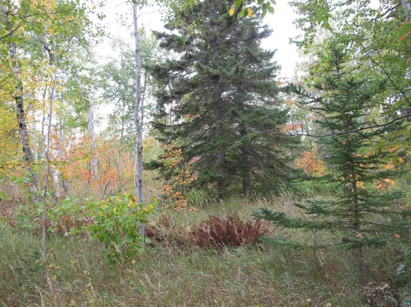 92XX W Highway 61, Schroeder, MN 55613