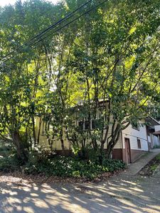 111 Gail Dr, Felton, CA, 95018