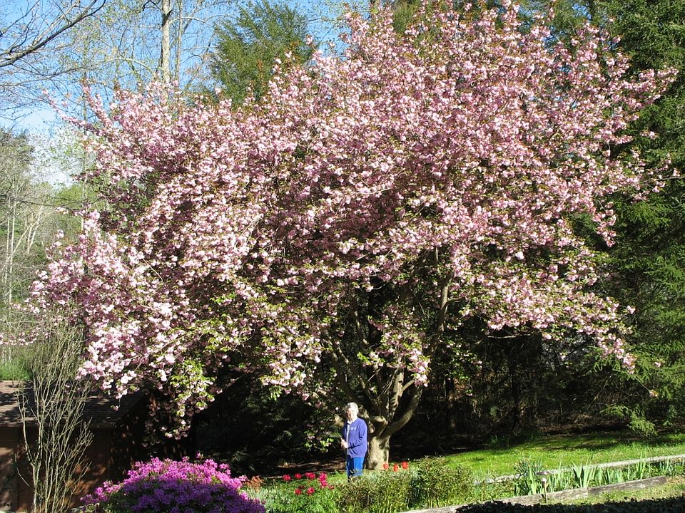 Springtime at Camp Creek