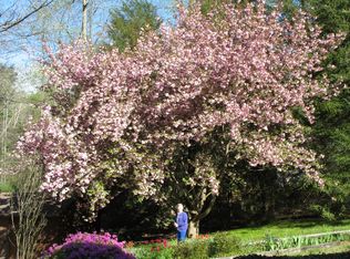 136 Camp Creek Rd, Saluda, NC 28773