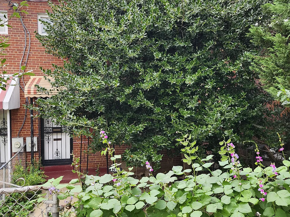 138 Webster St NE