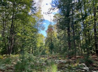 15149 Wildlife Trl, Wolverine, MI 49799