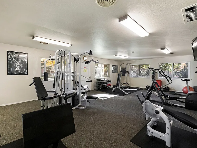 Pine Tree Apartments — Photo 4