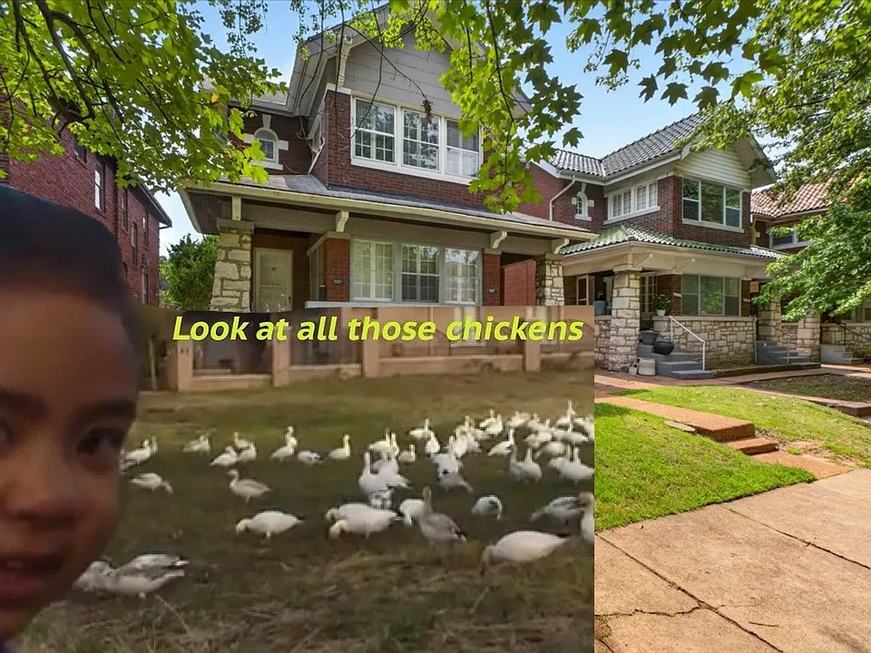Look at All Those Chickens