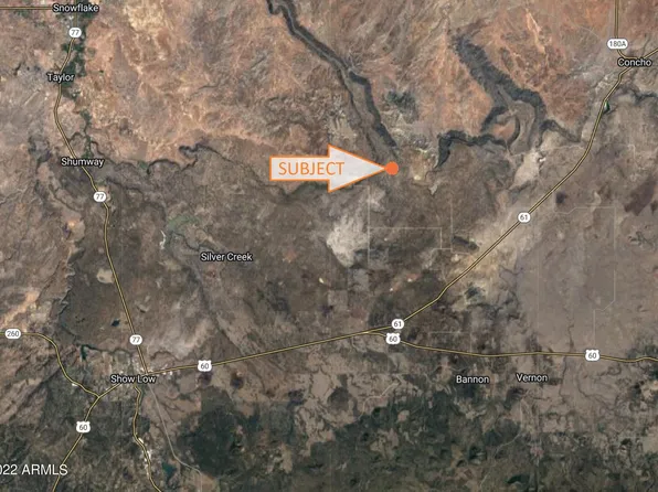 4 County Rd N8390 -- #-, Concho, AZ 85924