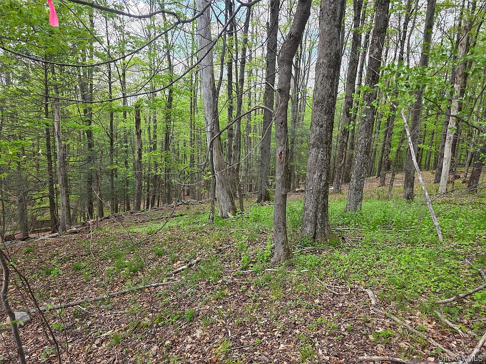 1st image of Wade Road