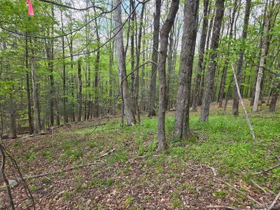Wade Road, Fallsburg, NY, 12733