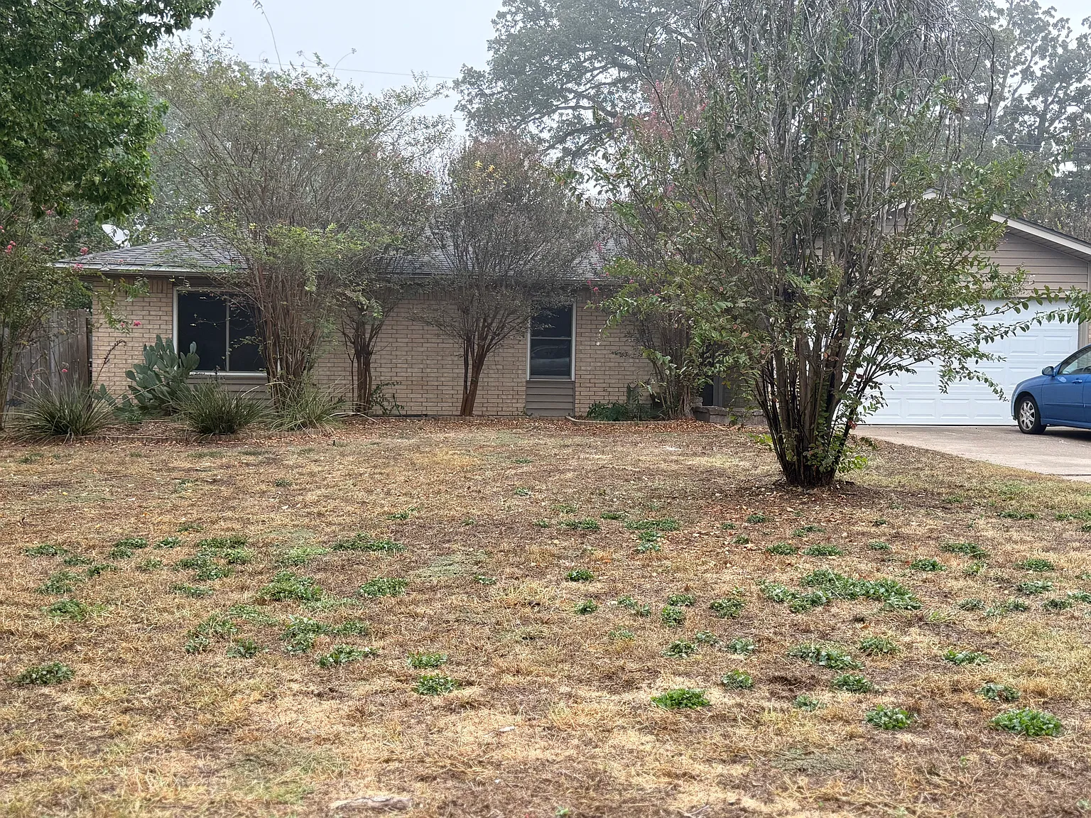 3 bed, 1550 sqft, $1,800 — Photo 4